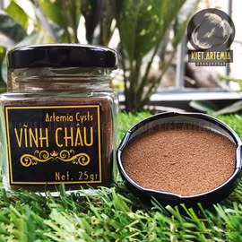 Trứng bào xác Artemia Vĩnh Châu