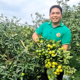Chanh Việt Bắc