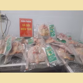 Thịt gà đồi Hiền Tâm