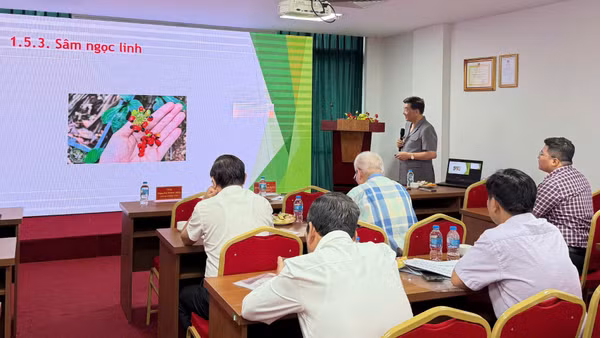 Các đại biểu báo cáo nghiên cứu về dược liệu tại Việt Nam. (Ảnh: HOÀNG MAI)