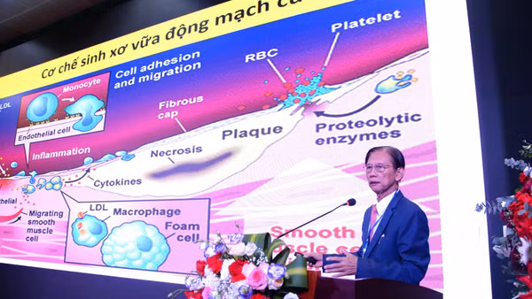 Các chuyên gia cập nhật những tiến bộ mới trong lĩnh vực nội tiết-chuyển hóa. (Ảnh: Anh Ngọc)