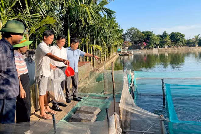 Mô hình kinh tế tổng hợp của anh Nguyễn Mạnh Hảo, thôn Tiền Phong, giúp nâng cao hiệu quả kinh tế trên diện tích đất ruộng sản xuất kém hiệu quả trước đây. (Ảnh: YẾN TRINH)