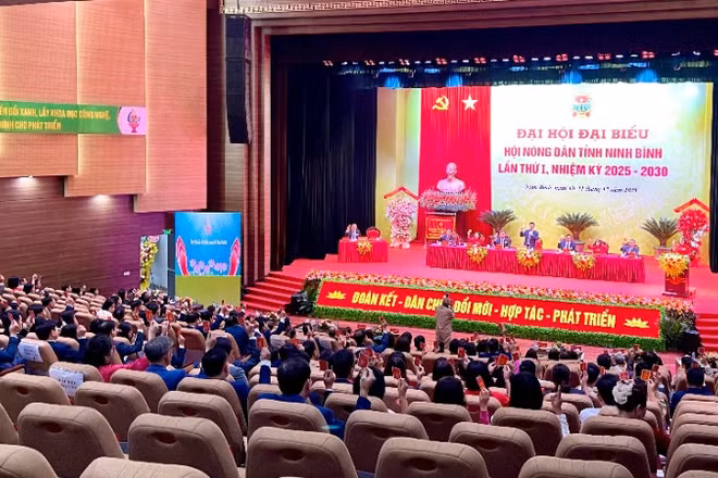 Đây là nhiệm kỳ đầu tiên sau sáp nhập, Hội Nông dân tỉnh thực hiện mô hình tổ chức Hội tinh gọn, hoạt động hiệu lực, hiệu quả hơn.