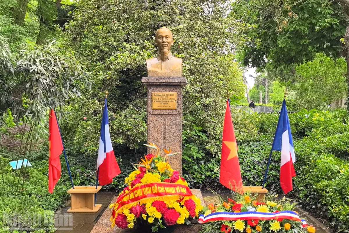 Những bông hoa tươi thắm mừng sinh nhật Chủ tịch Hồ Chí Minh.