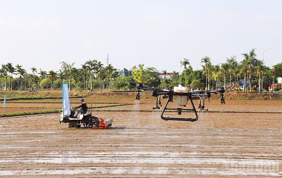 ndo_br_co-gioi-hoa-1.jpg