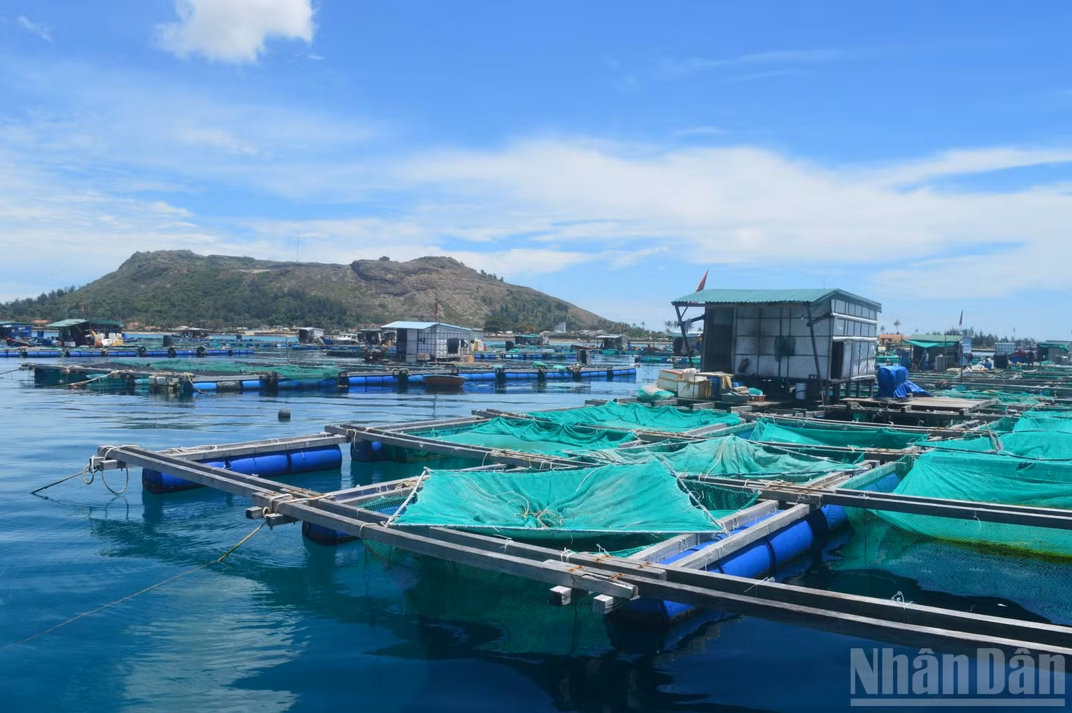 ndo_br_nuoi-trong-2.jpg