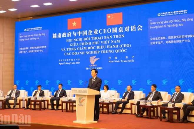 Phó Thủ tướng Chính phủ Mai Văn Chính phát biểu tại hội nghị.