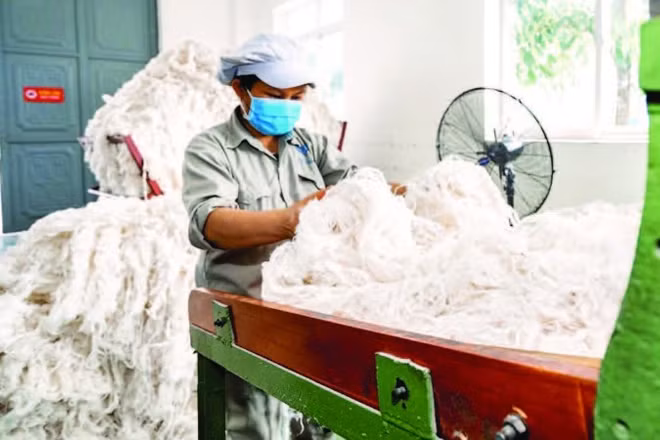 Nhà máy sợi gai An Phước - Viramie là nhà máy đầu tiên tại Việt Nam sản xuất sợi từ cây gai xanh theo quy trình khép kín từ vùng nguyên liệu đến chế biến. (Ảnh: TÙNG ĐINH)