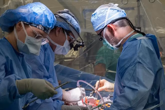 (Ảnh minh họa: Northwestern Medicine)