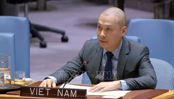 Công sứ Nguyễn Hoàng Nguyên, Phó Trưởng Phái đoàn thường trực Việt Nam tại Liên hợp quốc. (Ảnh tư liệu: TTXVN phát)