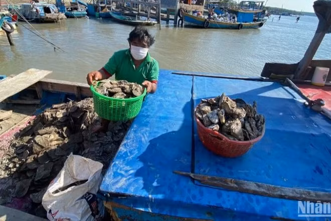 Nông dân huyện Cần Giờ khai thác thủy sản.
