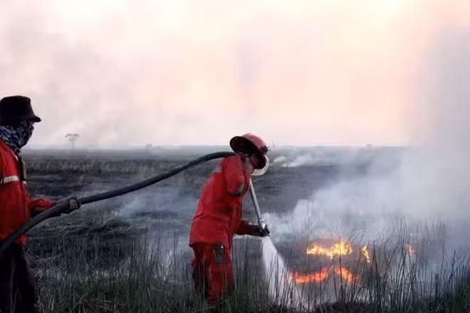 Lính cứu hỏa nỗ lực dập lửa cháy rừng tại Indonesia. (Ảnh: THX/TTXVN)