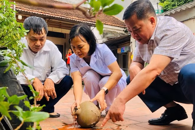 Cán bộ Y tế Trung tâm Kiểm soát bệnh tật (CDC) thành phố Hà Nội kiểm tra, giám sát công tác diệt bọ gậy tại cộng đồng để phòng, chống bệnh sốt xuất huyết.