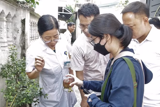 Cán bộ y tế Hà Nội giám sát, điều tra véc tơ truyền bệnh sốt xuất huyết tại cộng đồng.