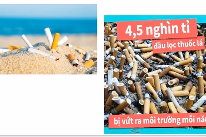 Rác thải từ thuốc lá gây ô nhiễm môi trường không khí, đất, nước tại các quốc gia trên thế giới.