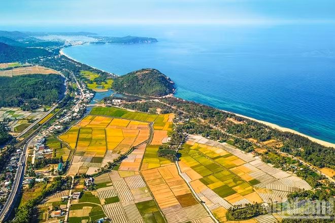 Tài nguyên biển, đảo là giá trị cốt lõi tạo nên thương hiệu du lịch Quảng Ngãi.