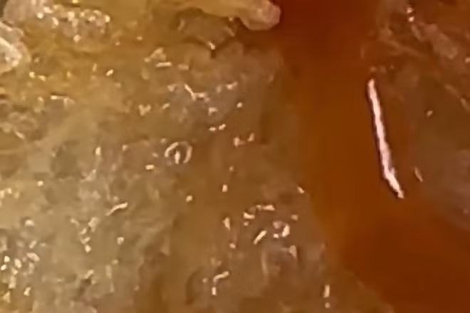 Tài khoản Facebook "Tạ Kỳ" đăng hình ảnh xôi hộp có giòi. (Ảnh chụp lại từ clip)