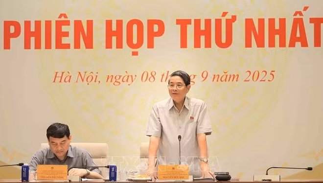  Phó Chủ tịch Quốc hội Nguyễn Đức Hải phát biểu. (Ảnh: TTXVN)