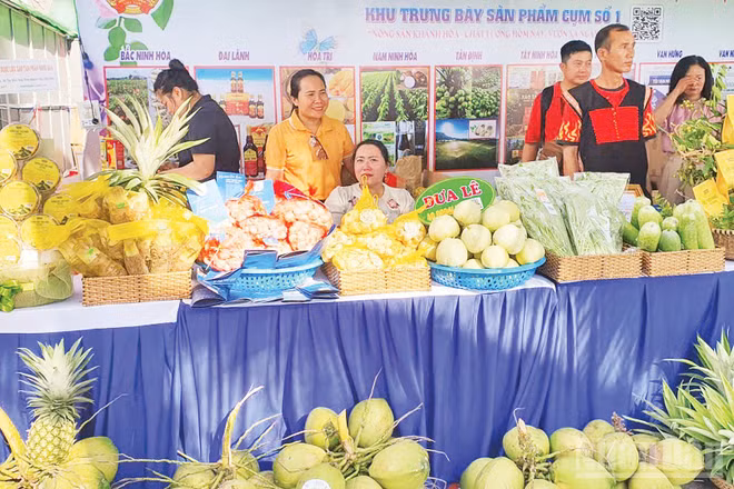 Nông sản sau thu hoạch được các doanh nghiệp, hợp tác xã trên địa bàn tỉnh Khánh Hòa phân loại, dán tem truy xuất nguồn gốc, trưng bày giới thiệu với người tiêu dùng. (Ảnh: NGUYỄN TRUNG)