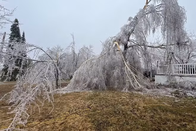Miền nam Manitoba cũng có thể hứng chịu lượng tuyết rơi từ 10-20 cm do cơn bão Alberta Clipper.