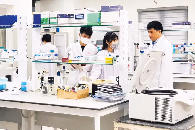 Nghiên cứu sản phẩm mới về công nghệ sinh học trong phòng thí nghiệm tại Viện Hàn lâm Khoa học và Công nghệ Việt Nam. (Ảnh: VÂN NGA)