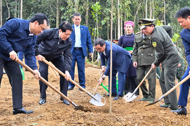 Chủ tịch nước Lương Cường và các đại biểu trồng cây tại khu vực thực hiện dự án Công viên văn hóa Lào Cai thuộc phường Cam Đường. (Ảnh: THỦY NGUYÊN)