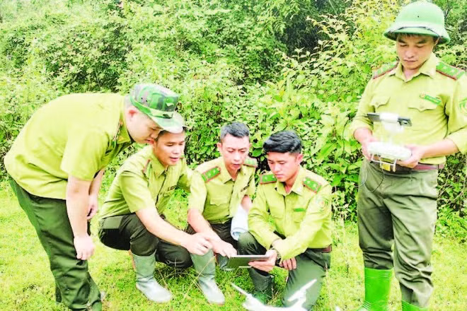 Cán bộ Kiểm lâm tỉnh Sơn La ứng dụng các thiết bị công nghệ, phần mềm trong quản lý, giám sát và bảo vệ rừng. (Ảnh: NGỌC TUẤN)