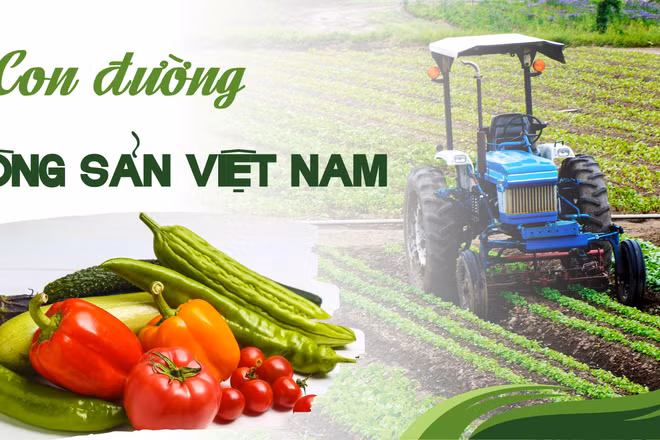 Con đường nông sản Việt Nam