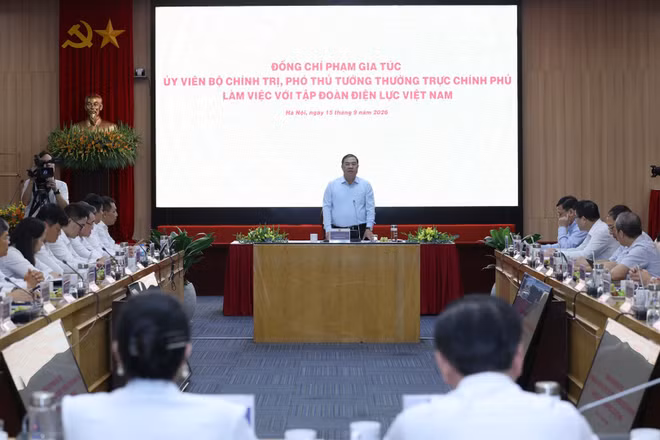 Phó Thủ tướng Thường trực Phạm Gia Túc phát biểu tại cuộc làm việc với Tập đoàn Điện lực Việt Nam. (Ảnh: chinhphu.vn)