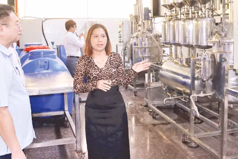 Dây chuyền sản xuất rượu chuối mốc bản địa của Hợp tác xã Sơn Bua. (Ảnh: HIỂN CỪ)