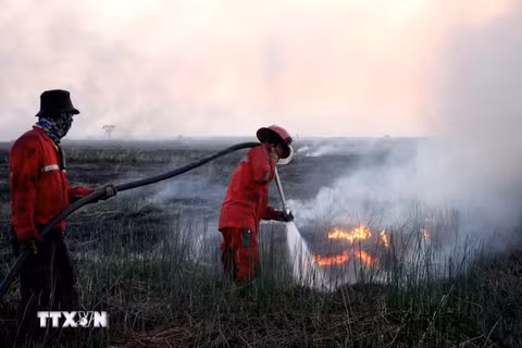 Lính cứu hỏa nỗ lực dập lửa cháy rừng tại Indonesia. (Ảnh: THX/TTXVN) 