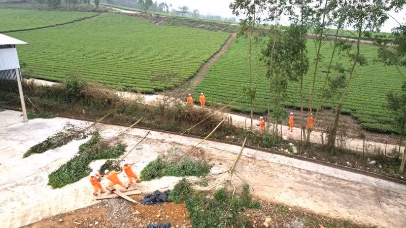 Nhân viên điện lực Nghĩa Lộ (Lào Cai) phát quang cây cối bảo đảm an toàn lưới điện trước mùa mưa bão.