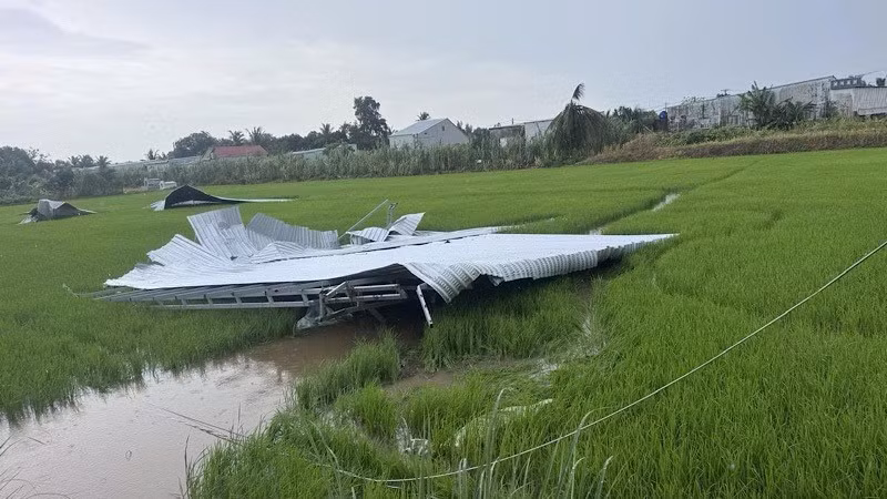 Dông lốc thổi bay mái nhà dân xuống ruộng lúa ở phường Trung Nhứt.