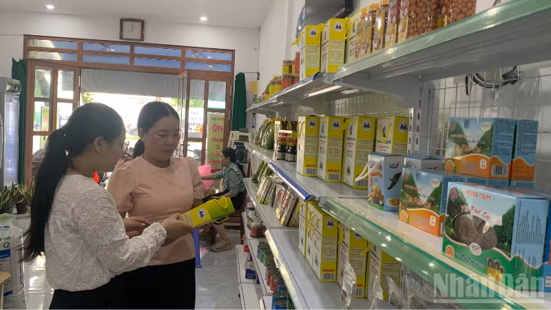 ndo_br_thiet-ke-chua-co-ten-2026-10-04t110516772.png