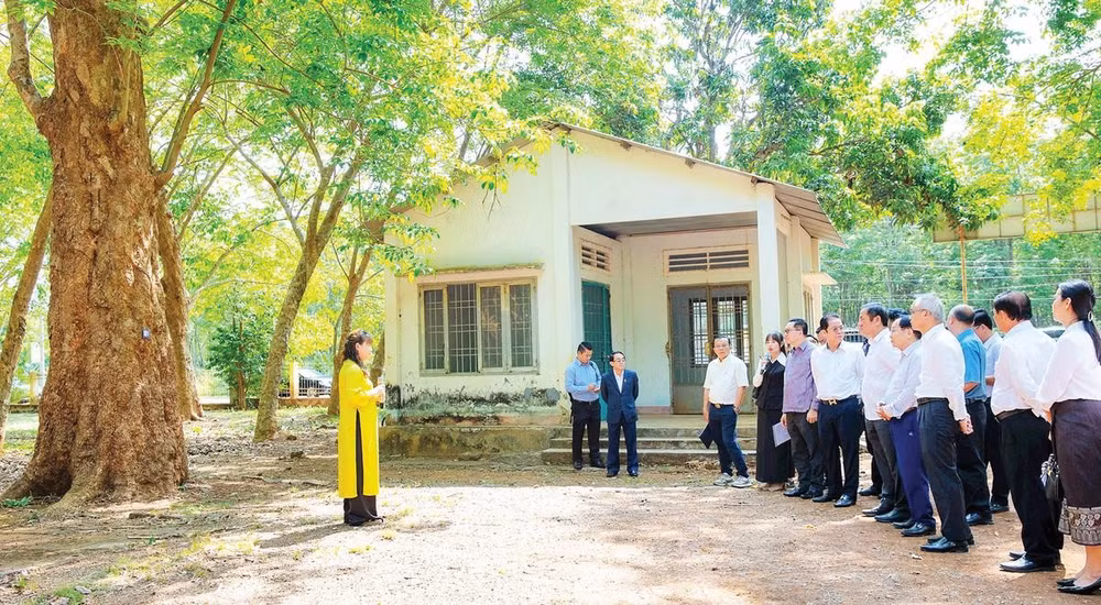 Bảo tồn, khai thác du lịch vườn cao-su cổ thụ