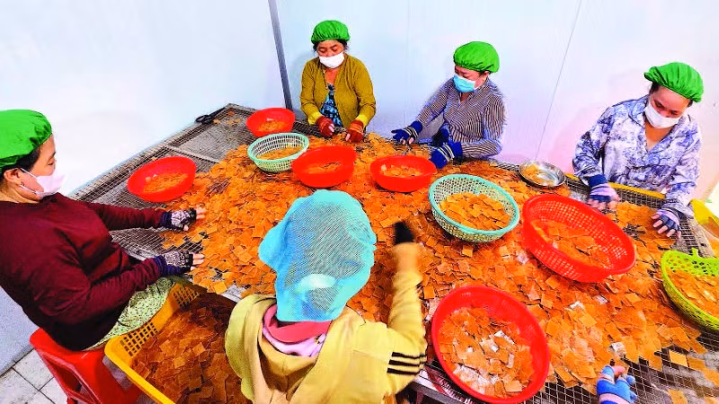Sự chuyển mình của làng nghề thể hiện qua những dây chuyền khép kín, hiện đại tại Công ty Vĩnh Tài. Mỗi ngày, đơn vị này cung ứng ra thị trường hơn một tấn bánh thành phẩm.
