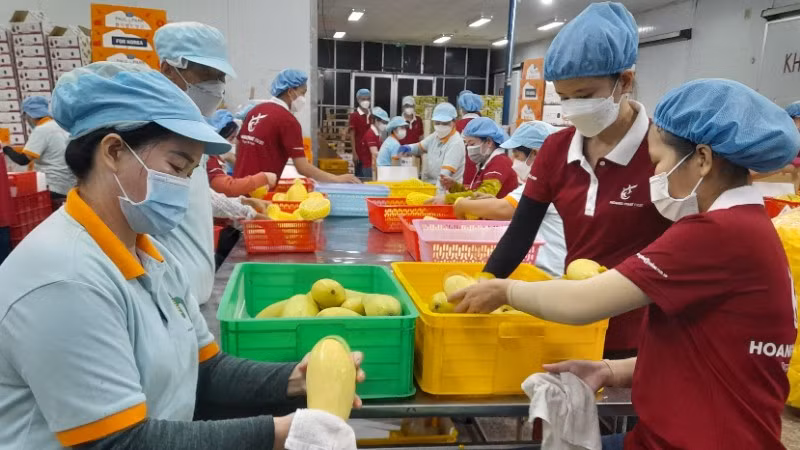 Chỉ số hiệu quả kinh tế tư nhân (BPI) - chỉ số lần đầu được công bố trong năm 2025, Tây Ninh đạt 4,01 điểm, xếp thứ 24/34 tỉnh, thành phố.