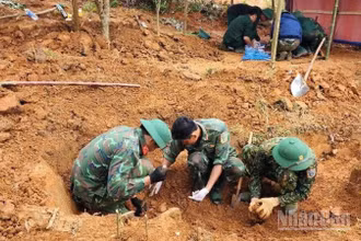 Đội Quy tập hài cốt liệt sĩ Đoàn Kinh tế-Quốc phòng 337 tìm kiếm, cất bốc tại khu vực thôn Xa Re, xã Khe Sanh, tỉnh Quảng Trị.