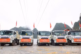 Phương tiện, thiết bị thi công dự án.