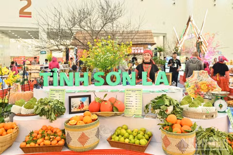 Để đặc sản vùng đồng bào dân tộc thiểu số và miền núi trở thành lựa chọn thường xuyên của người tiêu dùng, cần chuyển từ xúc tiến đơn lẻ sang phát triển chuỗi giá trị. (Ảnh: AN NGUYÊN)