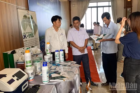 Các đại biểu tìm hiểu công nghệ nuôi tôm nước lợ tại diễn đàn. (Ảnh: THANH TÂM)