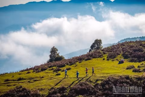 Giải chạy địa hình vượt núi Vietnam Mountain Marathon 2026 hứa hẹn bùng nổ tại Sa Pa. (Ảnh: Ủy ban nhân dân phường Sa Pa)