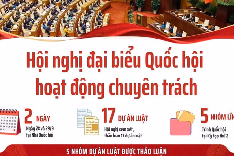 [Infographic] Hội nghị đại biểu Quốc hội hoạt động chuyên trách thứ nhất, nhiệm kỳ khóa XVI