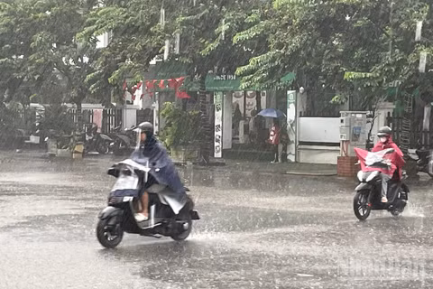 Ảnh minh họa: Đ.T