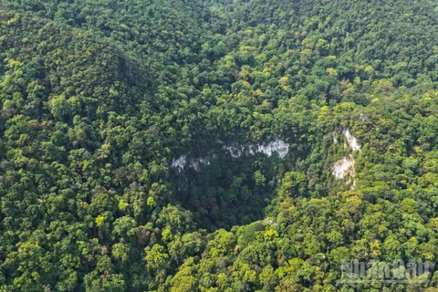 Hố sụt vừa phát hiện ở khu vực Chà Nòi-Khe Gát nhìn từ trên cao. (Ảnh: Jungle Boss)