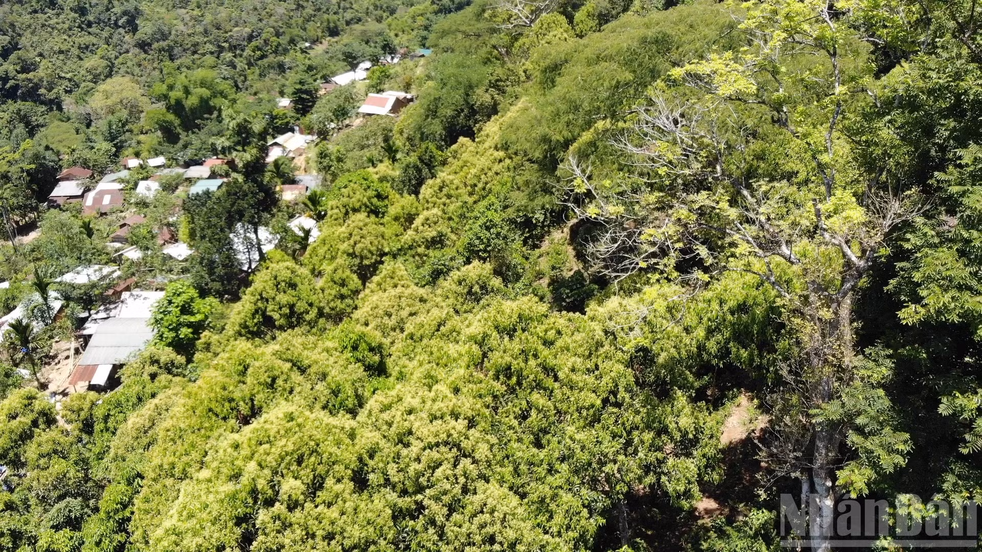 ndo_br_dji-0976mp400-00-23-07still003.jpg