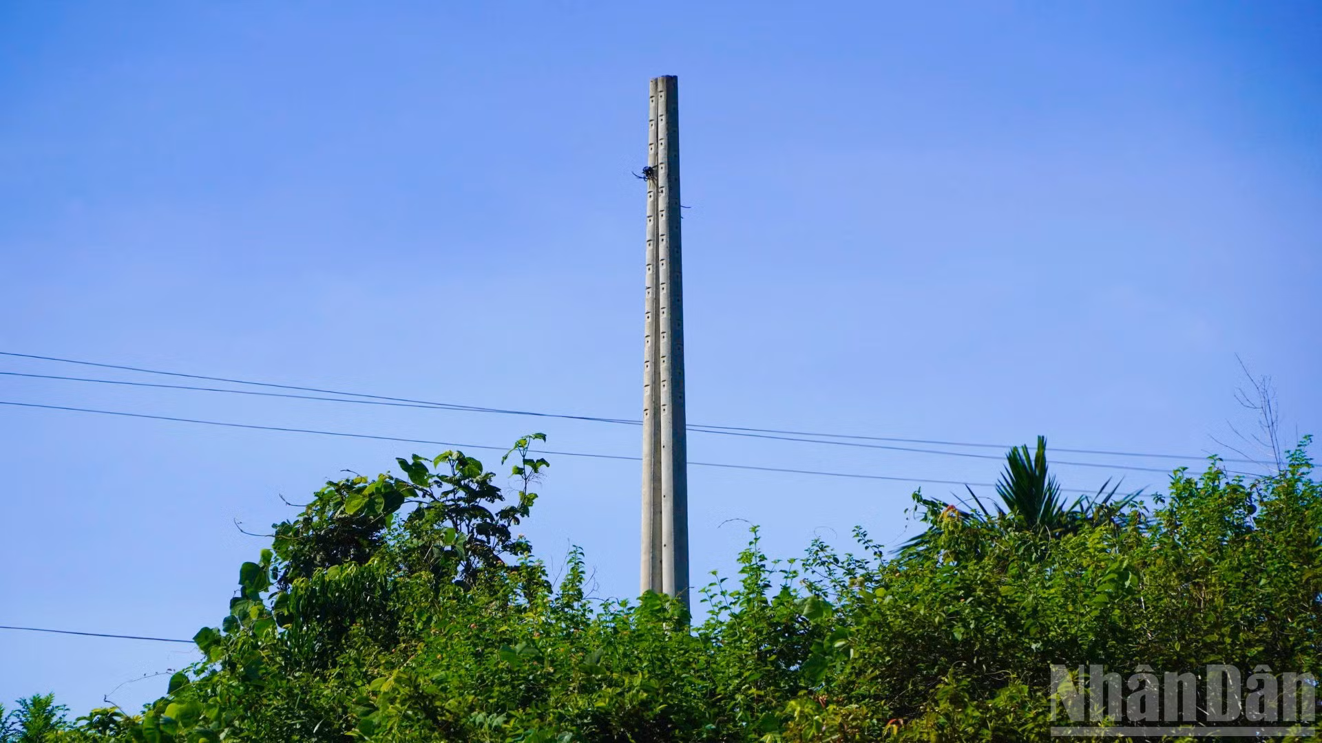 ndo_br_13.jpg