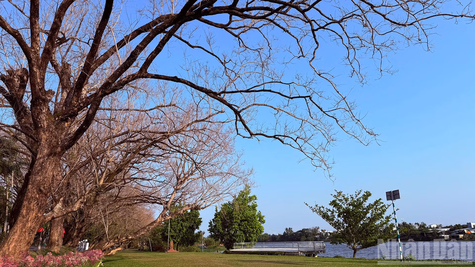 ndo_br_2-9058.jpg