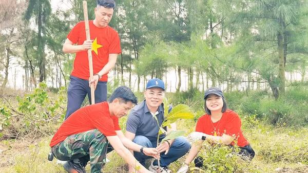 Xã Thạch Khê huy động lực lượng, nguồn lực trồng rừng bổ sung, thay thế diện tích rừng phòng hộ ven biển bị hư hại do thiên tai.