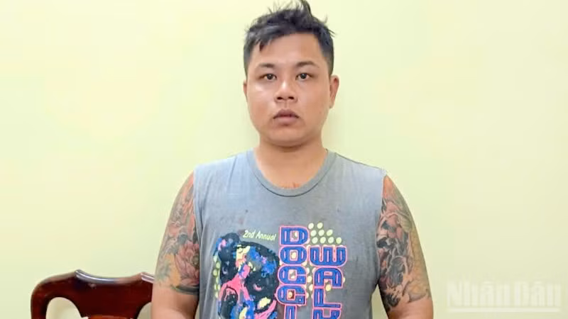 Đối tượng Nguyễn Hoàng Việt 